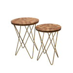 Sagebrook Home Set of 2 Metal & Wood Accent Tables, Brown