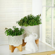 Sagebrook Home 13976-15 6