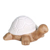 Sagebrook Home 14021-03 10" Ceramic Tortoise, White