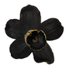 Sagebrook Home Resin 9`` Orchid Wall Hanger, Black/Gold