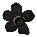 Sagebrook Home Resin 9`` Orchid Wall Hanger, Black/Gold
