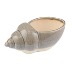 Sagebrook Home Ceramic 11`` Seashell, Gray/White