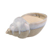 Sagebrook Home Ceramic 11``  Seashell, Blue /Gray Reacti