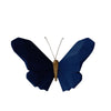 Sagebrook Home 14704-03 6" W Resin Origami Butterfly Wall Decor, Navy
