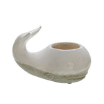 Sagebrook Home Ceramic 5" Whale Planter, Beige
