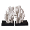 Sagebrook Home 14966 7" H Polyresin Coral Bookends, White/Black, Set of 2