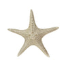 Sagebrook Home 14967-03 3" H Resin Starfish Figurine, Champagne