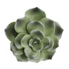 Sagebrook Home Polyresin 8`` Succulent Wall Decor, Green Wb