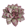 Sagebrook Home Polyresin 8`` Succulent Wall Decor, Pink/Green Wb