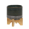 Sagebrook Home 6``H Dotted Planter W/ Wood Stand, Green