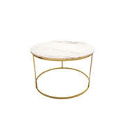 Sagebrook Home Set of 2 Metal/Marble Coffee Table, Gold
