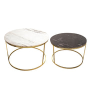 Sagebrook Home Set of 2 Metal/Marble Coffee Table, Gold