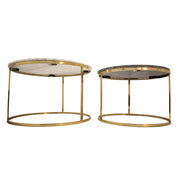 Sagebrook Home Set of 2 Metal/Marble Coffee Table, Gold