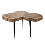 Sagebrook Home 20`` 3-Legged Wooden Side Table, Brown