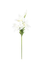 Kalalou CSL1303 Botanica #1303
