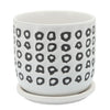 Sagebrook Home 15806-02 6" Aztec Planter with Saucer, Black