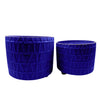 Sagebrook Home   Set of 2, 10/12`` Footed Etched Planter, Royal