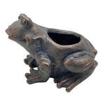 Sagebrook Home 15968-01 14" Resin, Frog Planter, Black