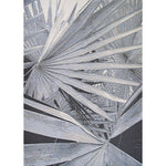Couristan Dolce KALAMIARIS PALMS 2'3" X 3'11" Rectangular Indoor/Outdoor  Transitional Rug