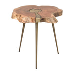 Sagebrook Home 18512 Wood, 22" Natural Wood Side Table, Brown Kd
