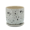 Sagebrook Home 6`` Terracotta Planter W/ Saucer, Gray