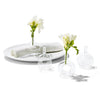 Two's Company 2232 Sitting Pretty Set of 4 Bud Vase/Napkin Ring Gift Box