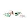 IMAX Worldwide Home Sea Shells Collection - Set of 4