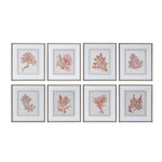 Uttermost 33692 Sunrise Coral Framed Prints Set/8