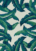 Couristan Covington Palm Leaves 7'10" X 7"10" Round Indoor/Outdoor  Contemporary Rug