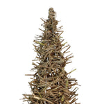 Benzara Wooden Rustic Accent Decor with Cork Branch Tree Design, Medium, Brown