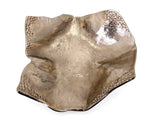 IMAX Worldwide Home Chapman Decorative Wavy Trays - Set of 3
