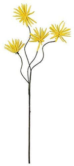 Kalalou CLX2434 Botanica #638