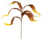 Kalalou CLX3174 Botanica #3174