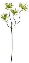 Kalalou CLX2435 Botanica # 639