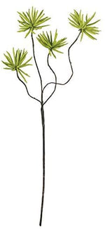 Kalalou CLX2435 Botanica # 639