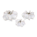 IMAX Worldwide Home Nia Table or Wall Vases - Set of 3