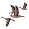 Imax Worldwide Home Reeds Migration Wood Wall Decor - Set of 3