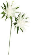 Kalalou CLX2982 Botanica #982