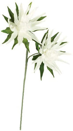 Kalalou CLX2982 Botanica #982