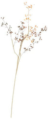 Kalalou CLX2962 Botanica #962