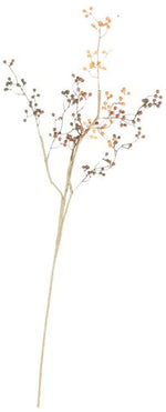 Kalalou CLX2962 Botanica #962