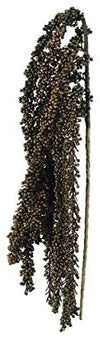 Kalalou CLX3151 Botanica #3151