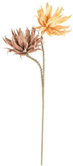 Kalalou CSL2324 Botanica