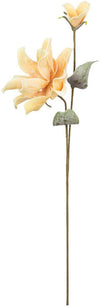 Kalalou CSL2355 Botanica # 2355