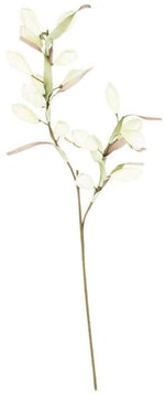 Kalalou CSL2321 Botanica #2321