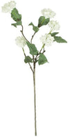 Kalalou CLX2969 Botanica #969