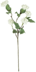 Kalalou CLX2969 Botanica #969
