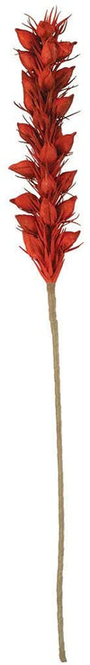 Kalalou CLX3162 Botanica #3162