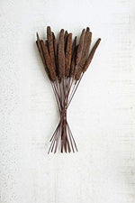 Kalalou NTRP1032 Bundles of Twenty Dried Cattails