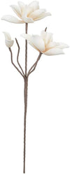 Kalalou CSL2340 Botanica #2340